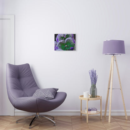 Stunning US Made Acrylic Prints - Amazing Tropical Orchids Digital ART - from Isabela Puerto Rico - Best Home Decor Ideas - Green Forest Home