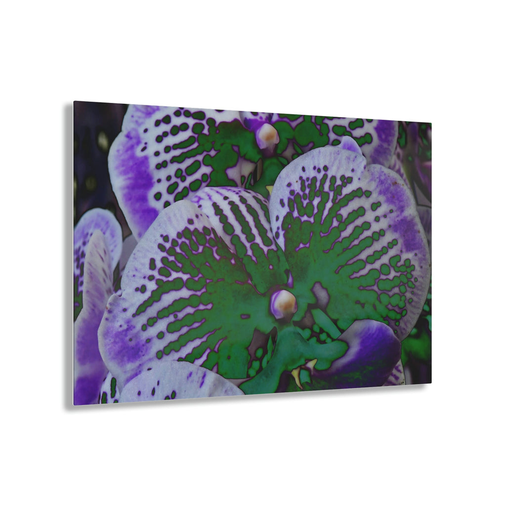 Stunning US Made Acrylic Prints - Amazing Tropical Orchids Digital ART - from Isabela Puerto Rico - Best Home Decor Ideas - Green Forest Home