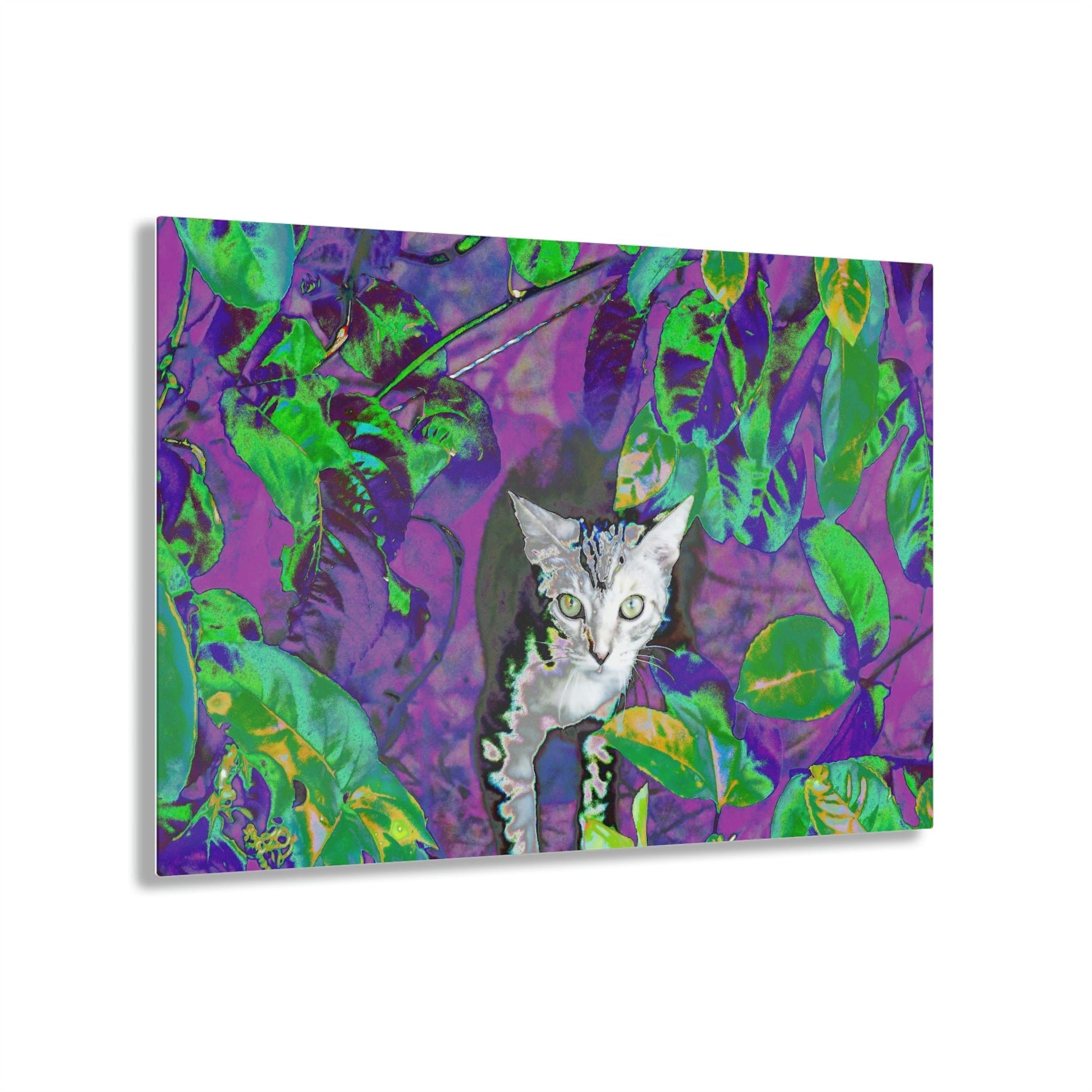 Stunning US Made Acrylic Prints - Baby Cat is a great Explorer of Foliage - Isabela Puerto Rico - Best Home Decor Ideas* - Green Forest Home