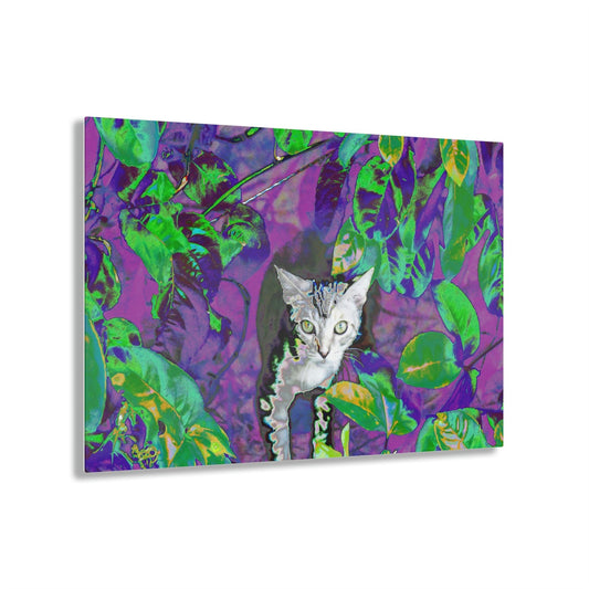 Stunning US Made Acrylic Prints - Baby Cat is a great Explorer of Foliage - Isabela Puerto Rico - Best Home Decor Ideas* - Green Forest Home