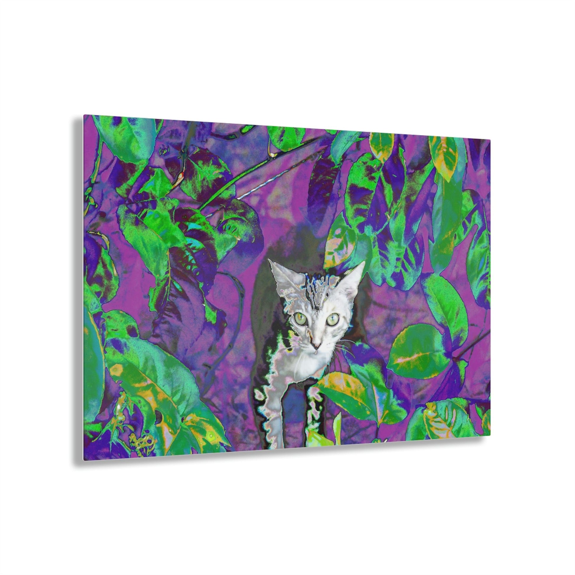 Stunning US Made Acrylic Prints - Baby Cat is a great Explorer of Foliage - Isabela Puerto Rico - Best Home Decor Ideas* - Green Forest Home