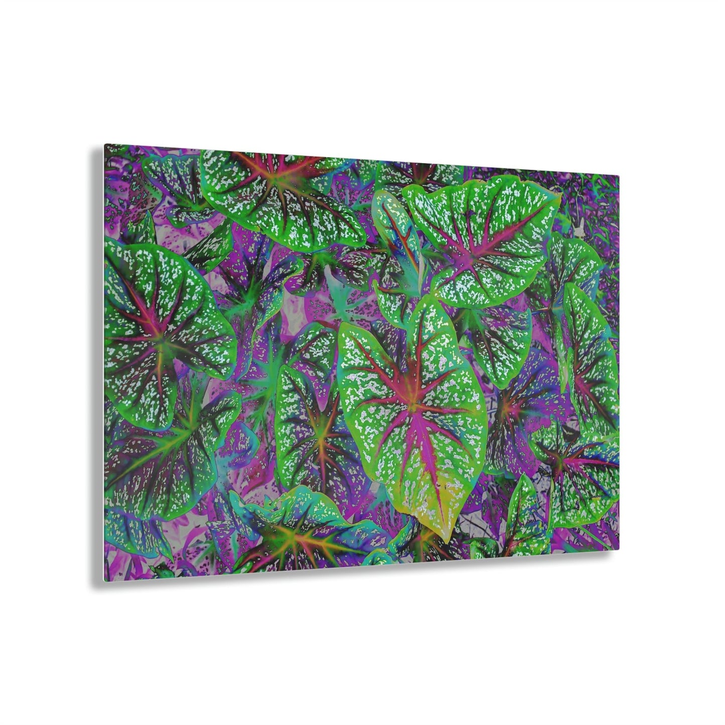 Stunning US Made Acrylic Prints - Common Garden Plants - Isabela Puerto Rico - Best Home Decor Ideas* - Green Forest Home