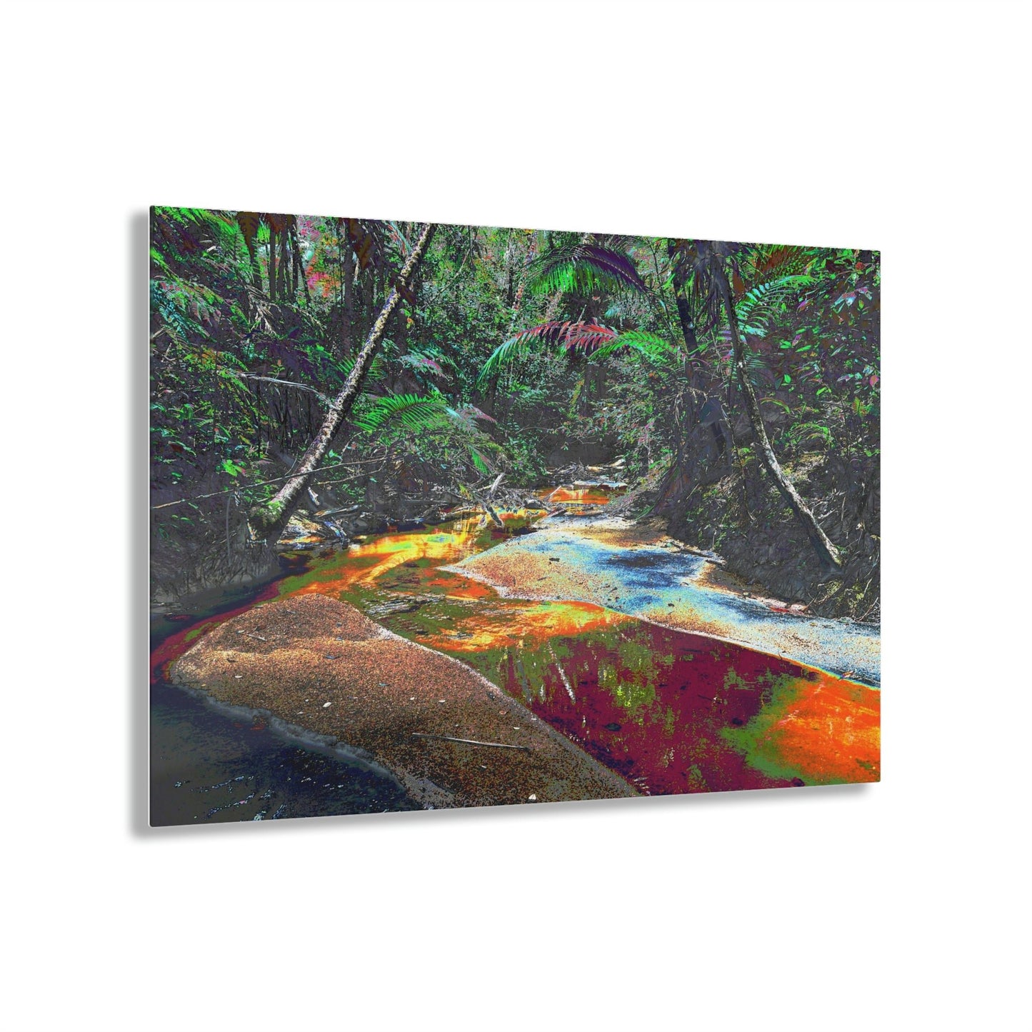 Stunning US Made Acrylic Prints - El Yunque Rio Espiritu Santo Deep Forest Orange Water due to Organic Decay - Puerto Rico - Best Home Decor Ideas* - Green Forest Home