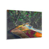 Stunning US Made Acrylic Prints - El Yunque Rio Espiritu Santo Deep Forest Orange Water due to Organic Decay - Puerto Rico - Best Home Decor Ideas* - Green Forest Home