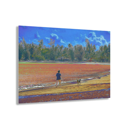 Stunning US Made Acrylic Prints - Girl with Dog - Luquillo Beach - Puerto Rico - Best Home Decor Ideas* - Green Forest Home