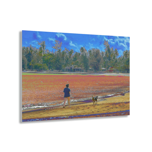 Stunning US Made Acrylic Prints - Girl with Dog - Luquillo Beach - Puerto Rico - Best Home Decor Ideas* - Green Forest Home