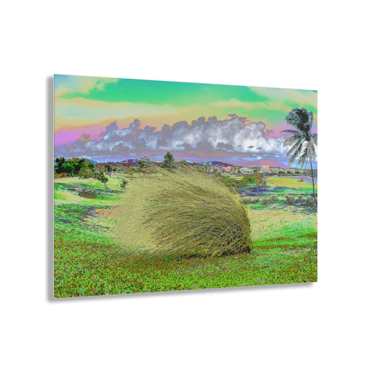 Stunning US Made Acrylic Prints - Palmas del Mar Resort - Humacao - Puerto Rico - Best Home Decor Ideas* - Green Forest Home