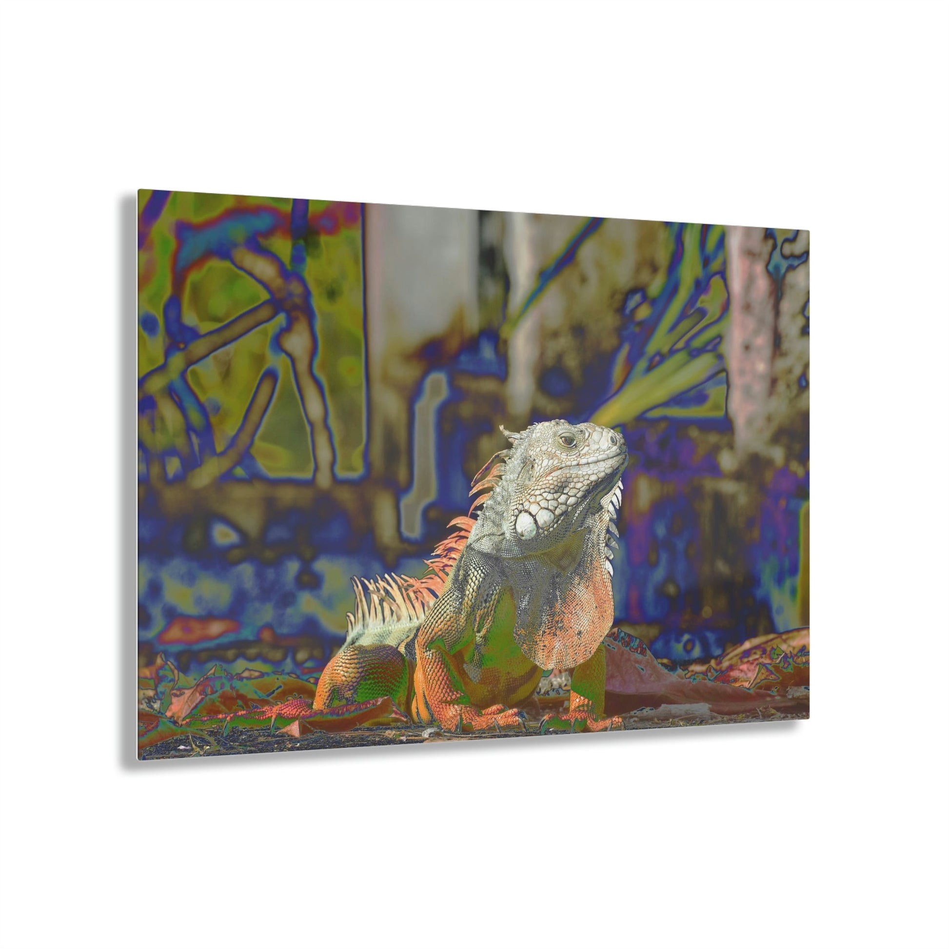 Stunning US Made Acrylic Prints - Proud Iguana in Humacao Punta Santiago PR - Best Home Decor Ideas* - Green Forest Home