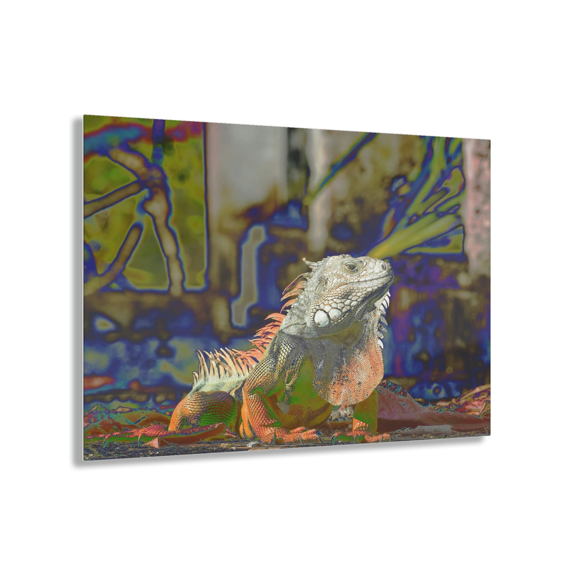 Stunning US Made Acrylic Prints - Proud Iguana in Humacao Punta Santiago PR - Best Home Decor Ideas* - Green Forest Home