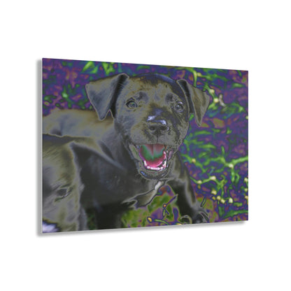 Stunning US Made Acrylic Prints - Puppies at play - Humacao Puerto Rico - Best Home Decor Ideas* - Green Forest Home