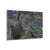 Stunning US Made Acrylic Prints - Puppies at play - Humacao Puerto Rico - Best Home Decor Ideas* - Green Forest Home
