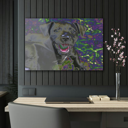 Stunning US Made Acrylic Prints - Puppies at play - Humacao Puerto Rico - Best Home Decor Ideas* - Green Forest Home