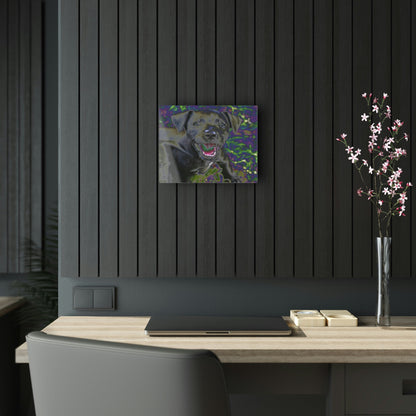 Stunning US Made Acrylic Prints - Puppies at play - Humacao Puerto Rico - Best Home Decor Ideas* - Green Forest Home