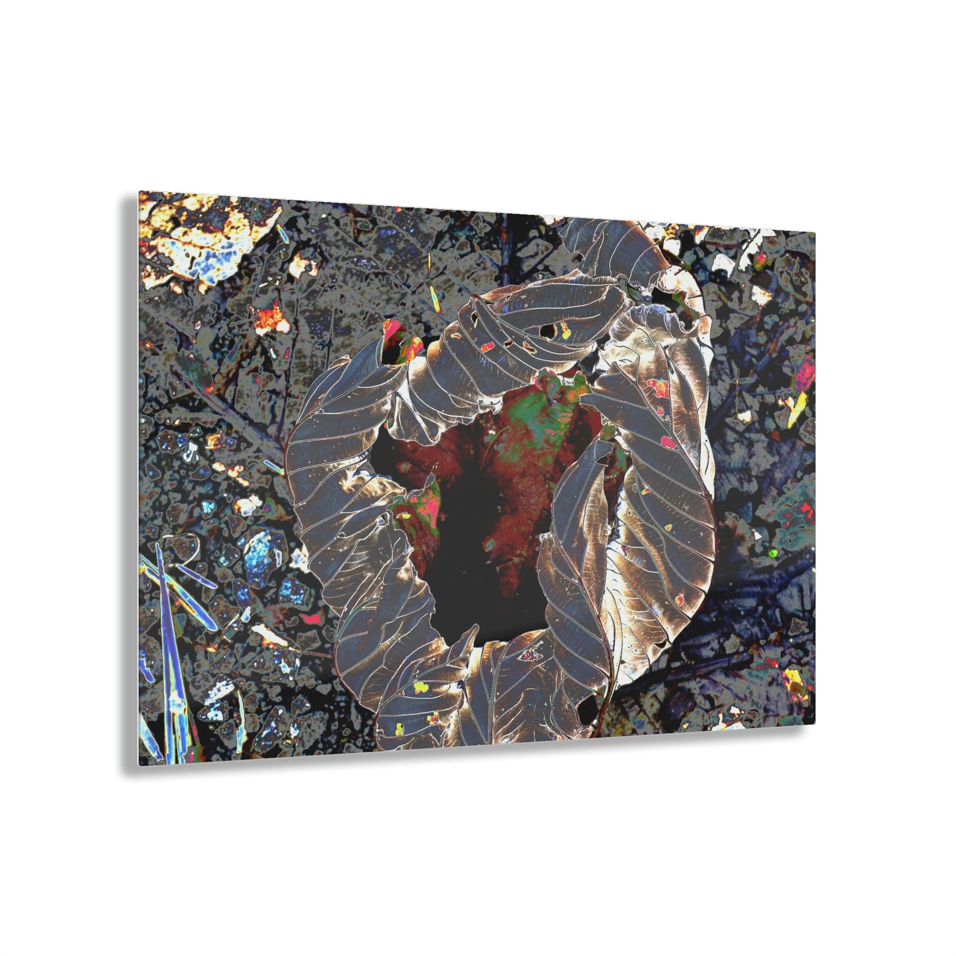 Stunning US Made Acrylic Prints - The Amazing Yagrumo Tree Dry Leaf - El Yunque - Puerto Rico - Best Home Decor Ideas* - Green Forest Home