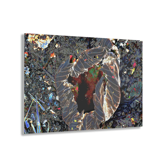 Stunning US Made Acrylic Prints - The Amazing Yagrumo Tree Dry Leaf - El Yunque - Puerto Rico - Best Home Decor Ideas* - Green Forest Home