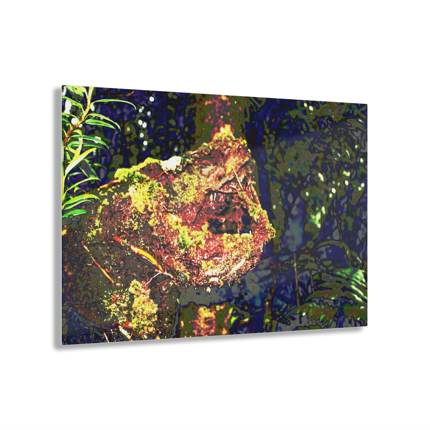 Stunning US Made Acrylic Prints - The Cry of Death - Decaying Tree Trunk - in Tradewinds Trail El Yunque rainforest - Best Home Decor Ideas* - Green Forest Home