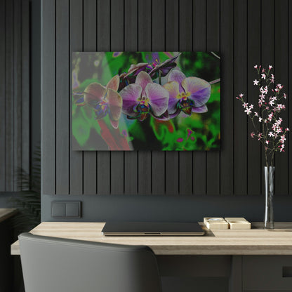 Stunning US Made Acrylic Prints - Tropical Orchids Digital ART - Isabela Puerto Rico - Best Home Decor Ideas - Green Forest Home