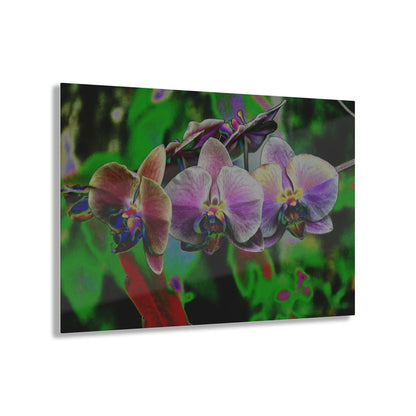 Stunning US Made Acrylic Prints - Tropical Orchids Digital ART - Isabela Puerto Rico - Best Home Decor Ideas - Green Forest Home