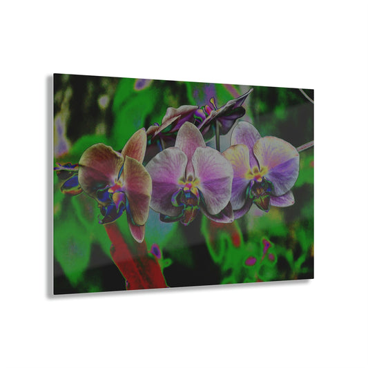 Stunning US Made Acrylic Prints - Tropical Orchids Digital ART - Isabela Puerto Rico - Best Home Decor Ideas - Green Forest Home