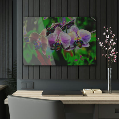 Stunning US Made Acrylic Prints - Tropical Orchids Digital ART - Isabela Puerto Rico - Best Home Decor Ideas - Green Forest Home