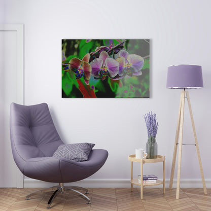 Stunning US Made Acrylic Prints - Tropical Orchids Digital ART - Isabela Puerto Rico - Best Home Decor Ideas - Green Forest Home