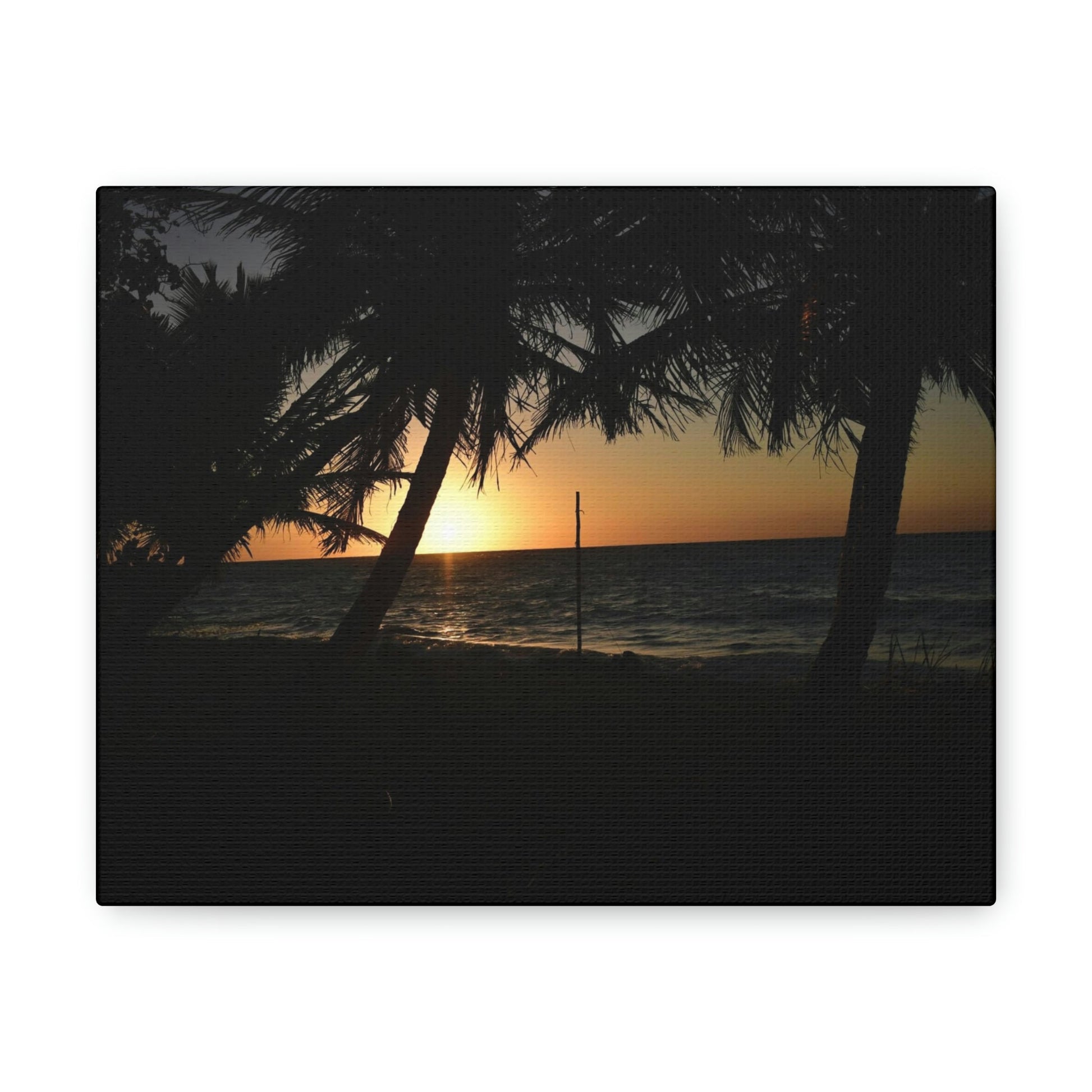 The fabulous sunsets of Mona Island - Puerto Rico - the Galapagos of the Caribbean - Green Forest Home