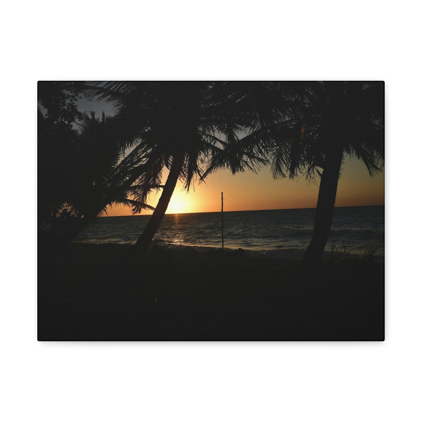 The fabulous sunsets of Mona Island - Puerto Rico - the Galapagos of the Caribbean - Green Forest Home