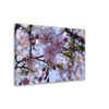 Thin Canvas Close-up Japan cherry blossom pink flower sakura branch nature - JAPAN - Green Forest Home