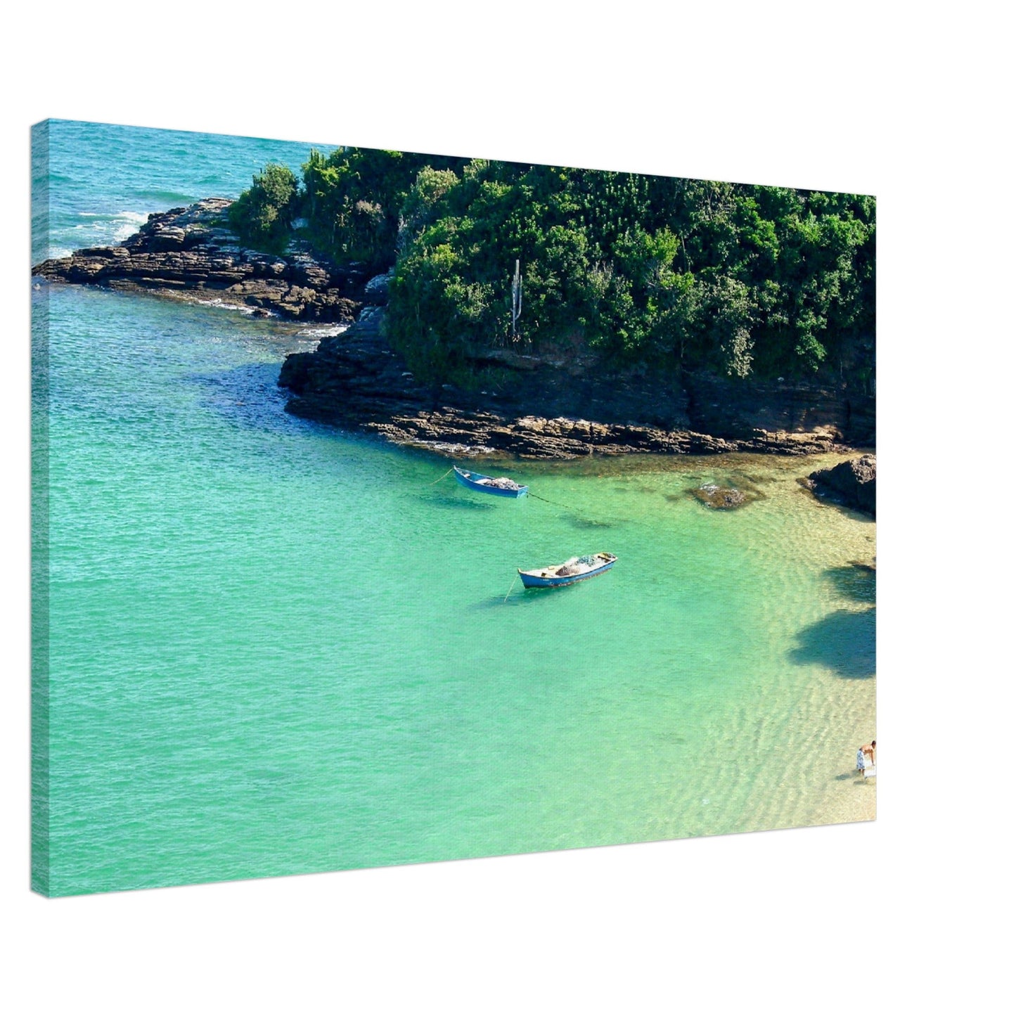 Thin Canvas - Oceanic coast in Brazil to enjoy the beaches and the mountains - BRAZIL - Green Forest Home