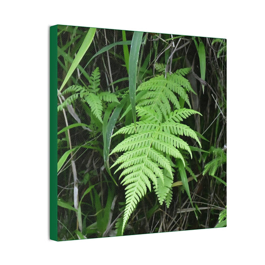 Thin Canvas - Stretched, 0.75" - Small Sizes - Ideal for Wall Forest Mosaics - Leaves of El Yunque - Fern plant - Green Forest Home