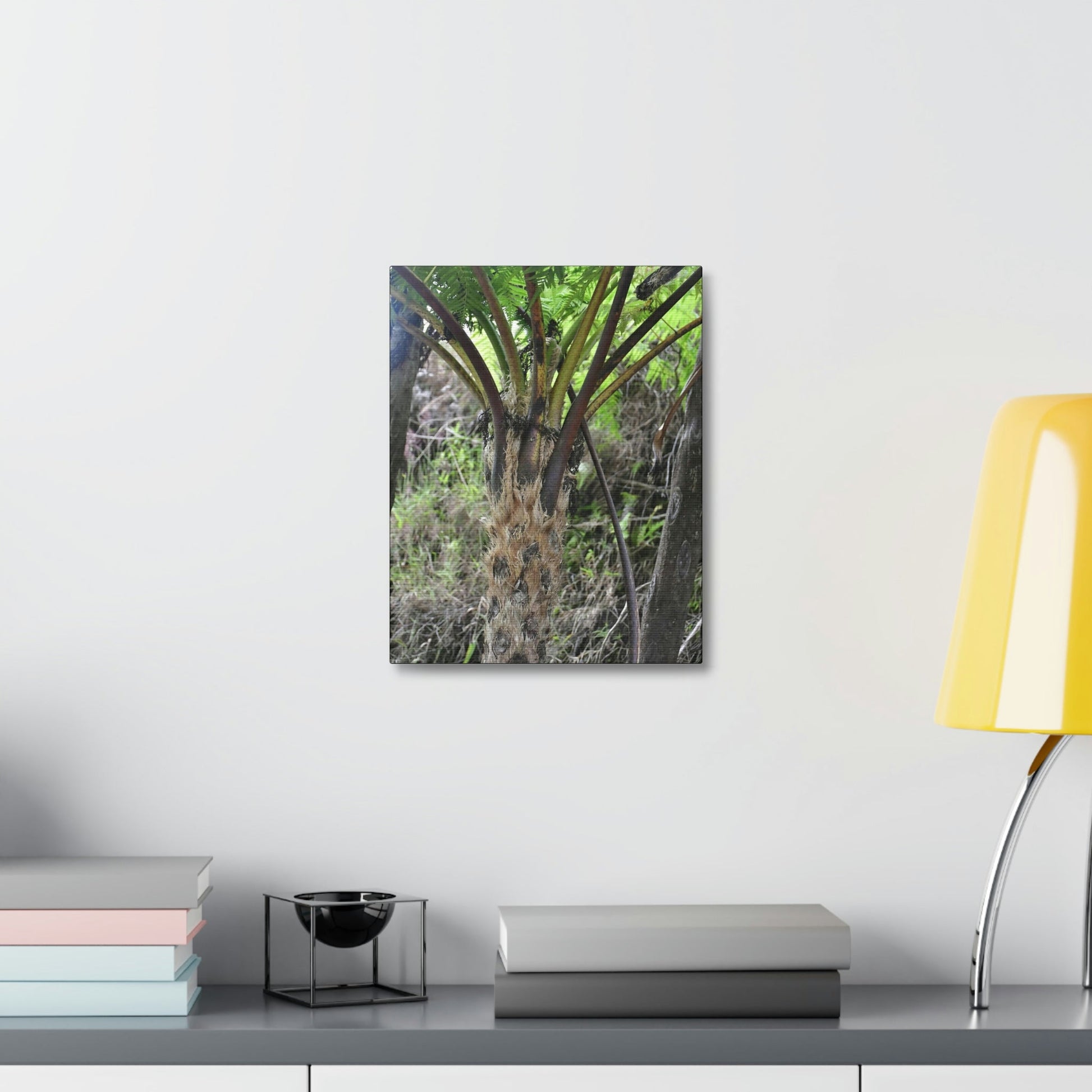 UK Print - Stretched Canvas - The ancient forest preserved in Toro Negro rainforest Puerto Rico - Cerro Puntas at 4,300 feet altitude fern palm closeup - Green Forest Home