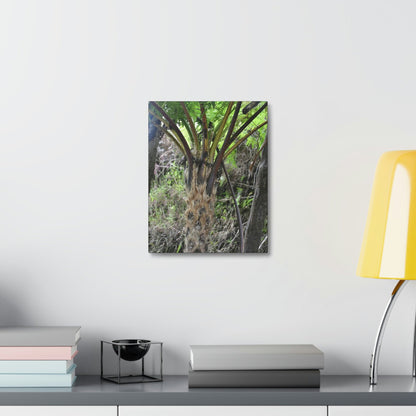 UK Print - Stretched Canvas - The ancient forest preserved in Toro Negro rainforest Puerto Rico - Cerro Puntas at 4,300 feet altitude fern palm closeup - Green Forest Home