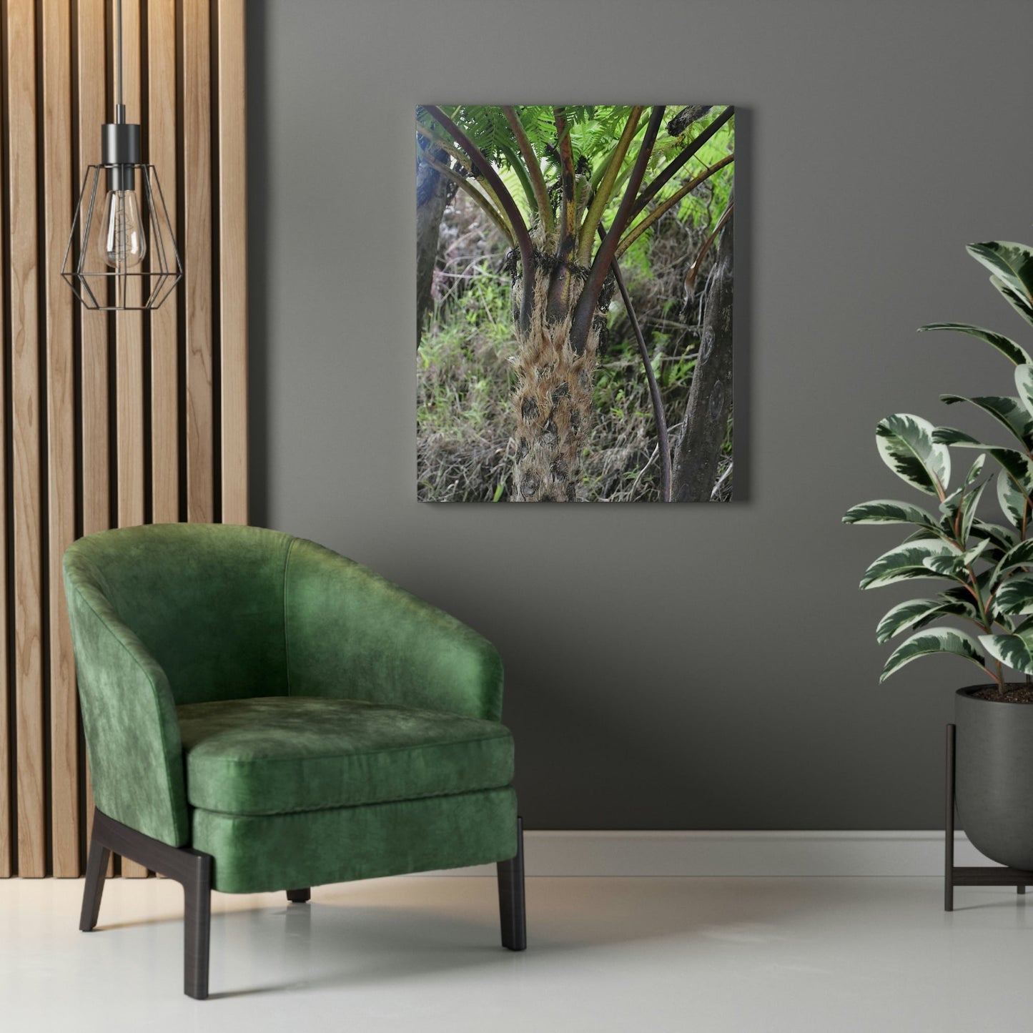 UK Print - Stretched Canvas - The ancient forest preserved in Toro Negro rainforest Puerto Rico - Cerro Puntas at 4,300 feet altitude fern palm closeup - Green Forest Home