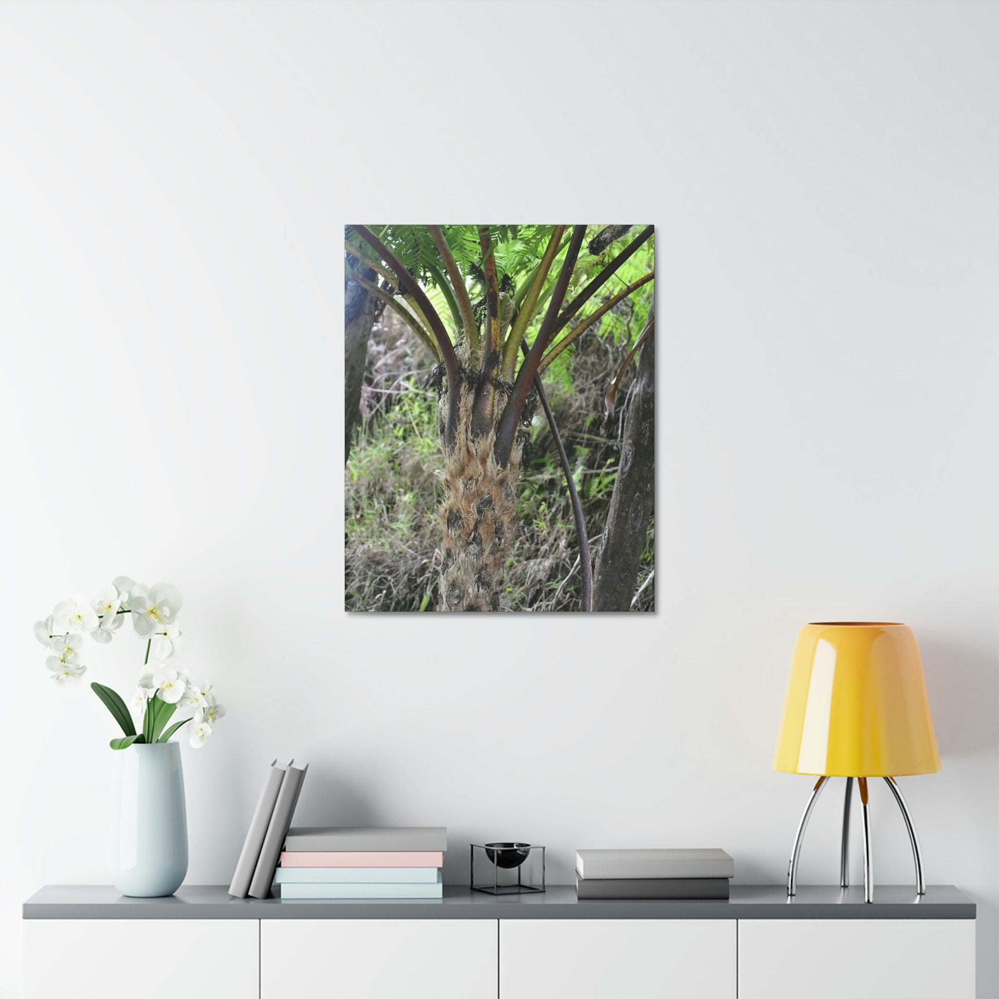 UK Print - Stretched Canvas - The ancient forest preserved in Toro Negro rainforest Puerto Rico - Cerro Puntas at 4,300 feet altitude fern palm closeup - Green Forest Home