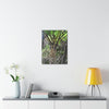 UK Print - Stretched Canvas - The ancient forest preserved in Toro Negro rainforest Puerto Rico - Cerro Puntas at 4,300 feet altitude fern palm closeup - Green Forest Home