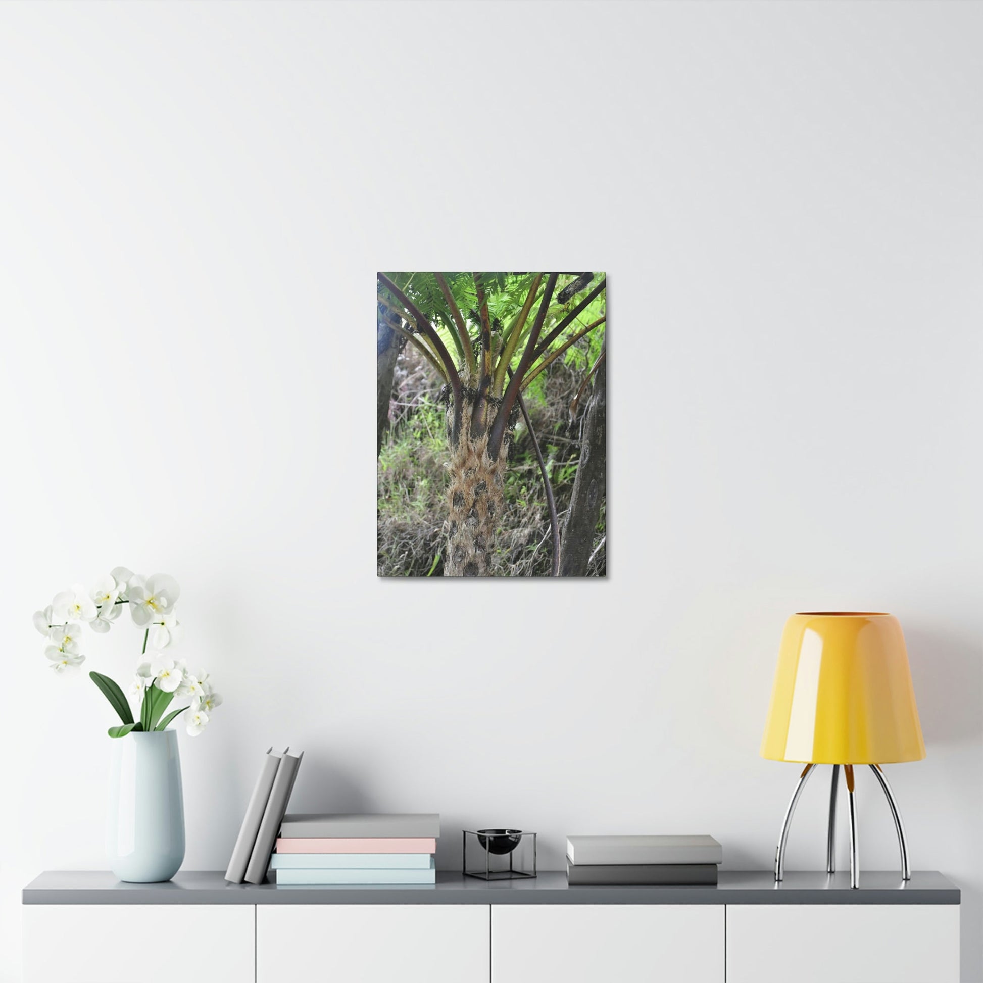UK Print - Stretched Canvas - The ancient forest preserved in Toro Negro rainforest Puerto Rico - Cerro Puntas at 4,300 feet altitude fern palm closeup - Green Forest Home