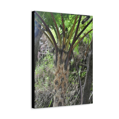 UK Print - Stretched Canvas - The ancient forest preserved in Toro Negro rainforest Puerto Rico - Cerro Puntas at 4,300 feet altitude fern palm closeup - Green Forest Home