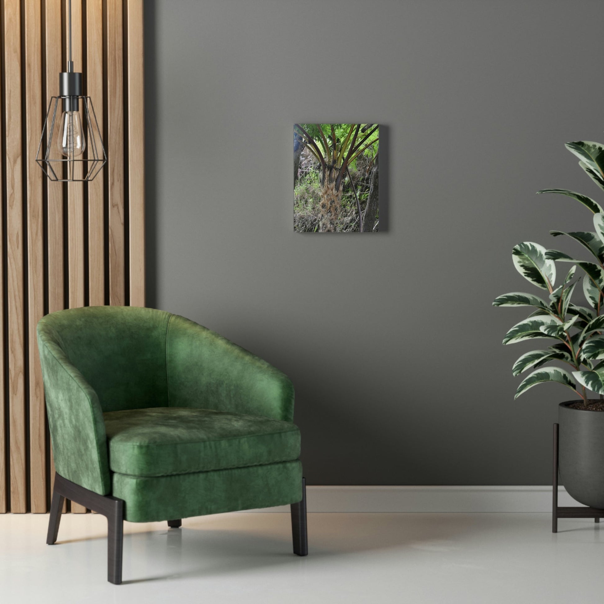 UK Print - Stretched Canvas - The ancient forest preserved in Toro Negro rainforest Puerto Rico - Cerro Puntas at 4,300 feet altitude fern palm closeup - Green Forest Home