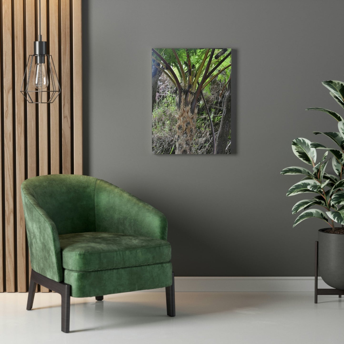UK Print - Stretched Canvas - The ancient forest preserved in Toro Negro rainforest Puerto Rico - Cerro Puntas at 4,300 feet altitude fern palm closeup - Green Forest Home