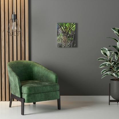 UK Print - Stretched Canvas - The ancient forest preserved in Toro Negro rainforest Puerto Rico - Cerro Puntas at 4,300 feet altitude fern palm closeup - Green Forest Home