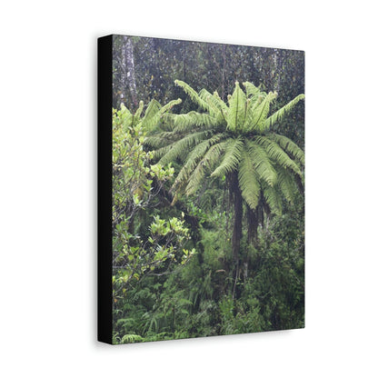 UK Print - Stretched Canvas - The ancient forest preserved in Toro Negro rainforest Puerto Rico - highest land at 4,000 feet altitude - Green Forest Home