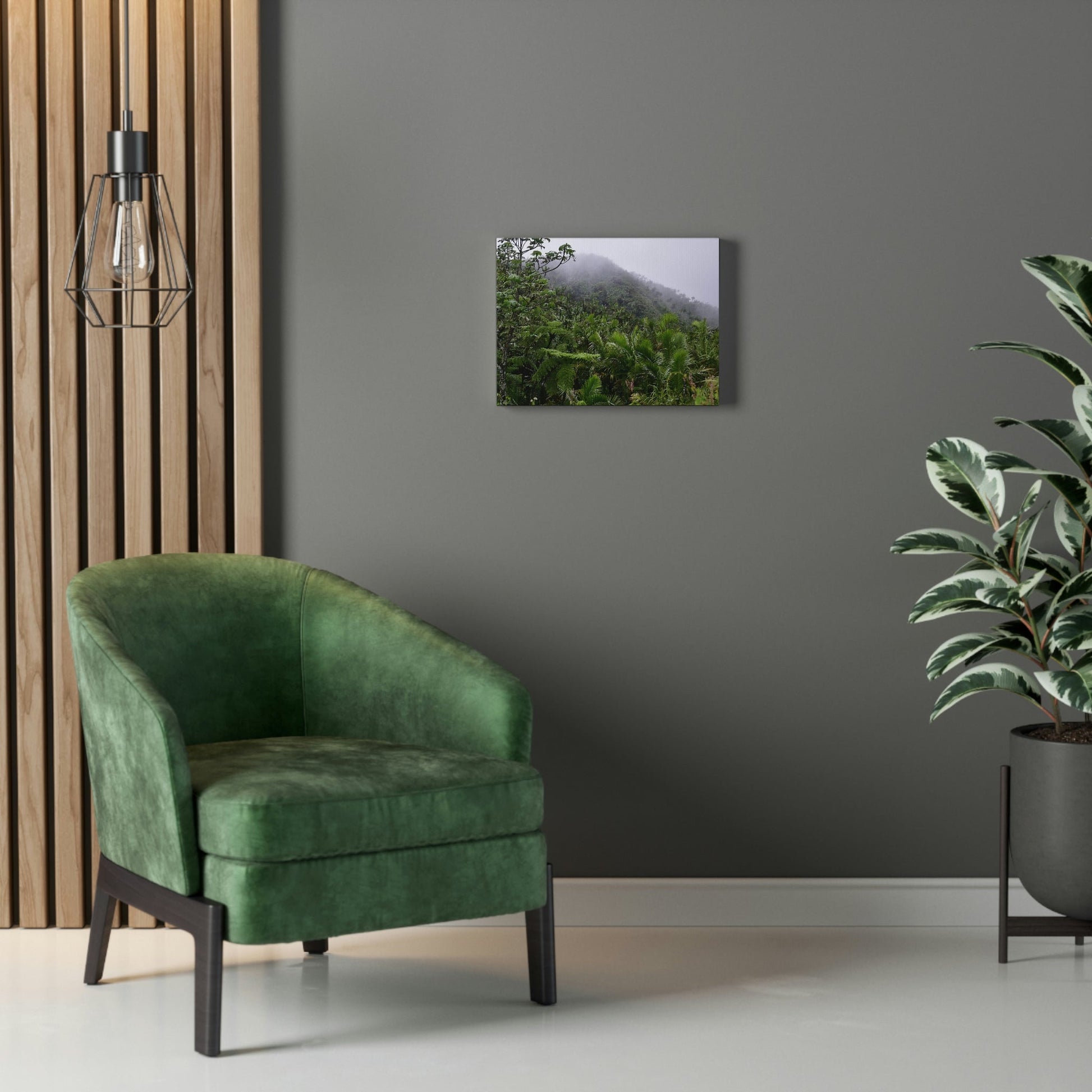 UK Print - Stretched Canvas - The ancient forest preserved in Toro Negro rainforest Puerto Rico - highest land at 4,000 feet altitude - Green Forest Home