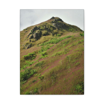 UK Print - Stretched Canvas - The ancient forest preserved in Toro Negro rainforest Puerto Rico - highest land at 4,000 feet altitude - Green Forest Home