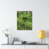 UK Print - Stretched Canvas - The ancient forest preserved in Toro Negro rainforest Puerto Rico - highest land at 4,000 feet altitude - Green Forest Home