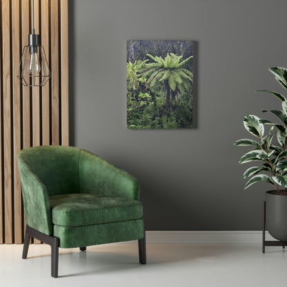 UK Print - Stretched Canvas - The ancient forest preserved in Toro Negro rainforest Puerto Rico - highest land at 4,000 feet altitude - Green Forest Home
