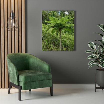 UK Print - Stretched Canvas - The ancient forest preserved in Toro Negro rainforest Puerto Rico - highest land at 4,000 feet altitude - Green Forest Home