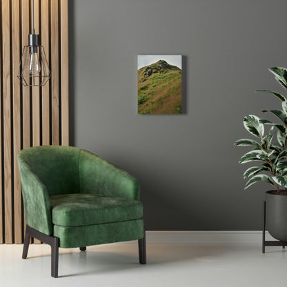 UK Print - Stretched Canvas - The ancient forest preserved in Toro Negro rainforest Puerto Rico - highest land at 4,000 feet altitude - Green Forest Home