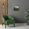 UK Print - Stretched Canvas - The ancient forest preserved in Toro Negro rainforest Puerto Rico - highest land at 4,000 feet altitude - Green Forest Home