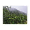 UK Print - Stretched Canvas - The ancient forest preserved in Toro Negro rainforest Puerto Rico - highest land at 4,000 feet altitude - Green Forest Home