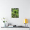 UK Print - Stretched Canvas - The ancient forest preserved in Toro Negro rainforest Puerto Rico - highest land at 4,000 feet altitude - Green Forest Home